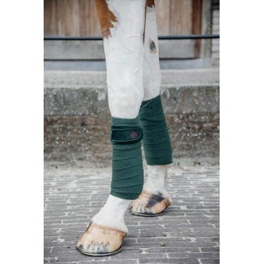 Bandes de polo Polar Fleece Velvet Pearls Kentucky Vert sapin