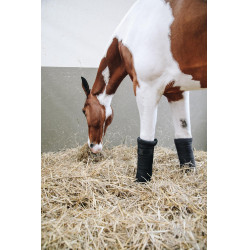 Bandes de repos Repellent Kentucky Noir Bandes de repos Repellent Kentucky Noir