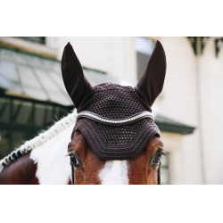 Bonnet Wellington Kentucky