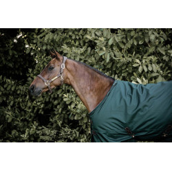 Couverture d'extérieur All Weather imperméable Pro Kentucky Vert foncé