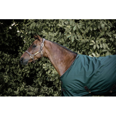 Couverture d'extérieur All Weather imperméable Pro Kentucky Vert foncé