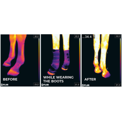 Guêtres de repos Magnétique Recuptex Kentucky Noir