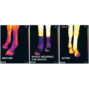 Guêtres de repos Magnétique Recuptex Kentucky Noir