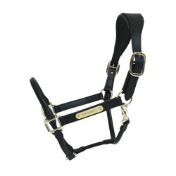 Licol Anatomique Cuir Kentucky Noir Licol Anatomique Cuir Kentucky Noir