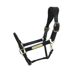 Licol Anatomique Cuir Kentucky Noir