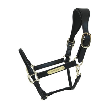 Licol Anatomique Cuir Kentucky Noir Licol Anatomique Cuir Kentucky Noir