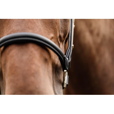 Licol Anatomique Cuir Kentucky Licol Anatomique Cuir Kentucky
