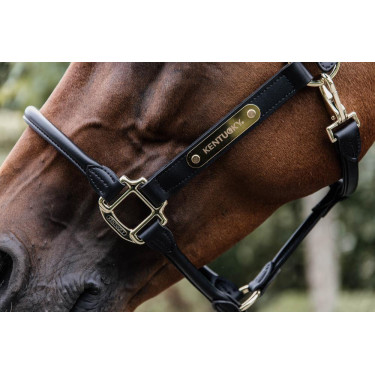 Licol Anatomique Cuir Kentucky Licol Anatomique Cuir Kentucky