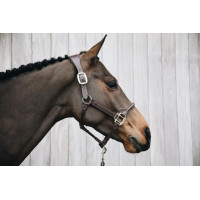 Licol Anatomique Cuir Kentucky Marron