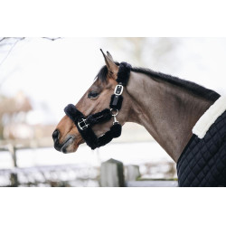 Licol de transport mouton Kentucky