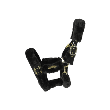 Licol de transport mouton Kentucky Licol de transport mouton Kentucky