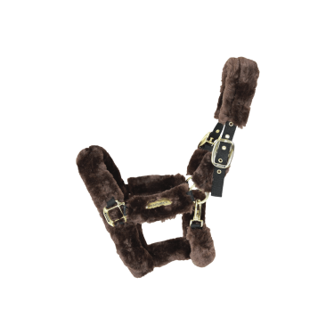 Licol de transport mouton Kentucky Licol de transport mouton Kentucky
