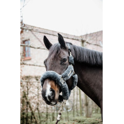 Licol de transport mouton Kentucky Gris