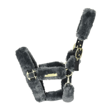 Licol de transport mouton Kentucky Gris