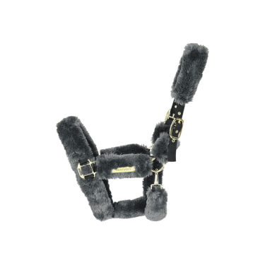 Licol de transport mouton Kentucky Gris Licol de transport mouton Kentucky Gris