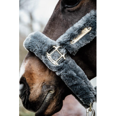 Licol de transport mouton Kentucky Gris Licol de transport mouton Kentucky Gris