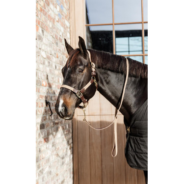 Licol Plaited Nylon Kentucky Licol Plaited Nylon Kentucky