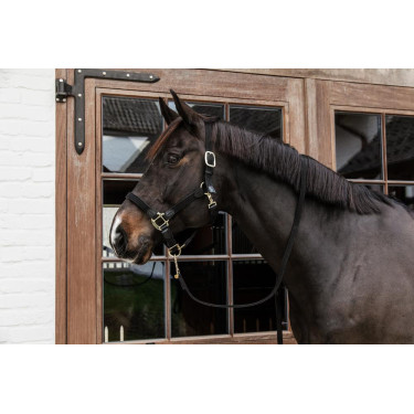 Licol Plaited Nylon Kentucky Noir