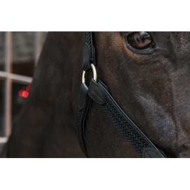 Licol Plaited Nylon Kentucky Noir