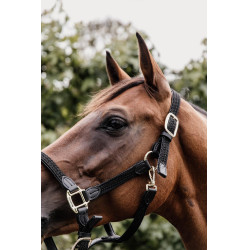 Licol Plaited Nylon Kentucky Noir