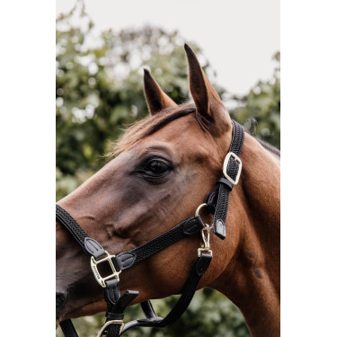 Licol Plaited Nylon Kentucky Noir
