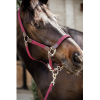 Licol Plaited Nylon Kentucky Bordeaux