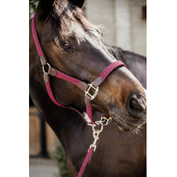 Licol Plaited Nylon Kentucky