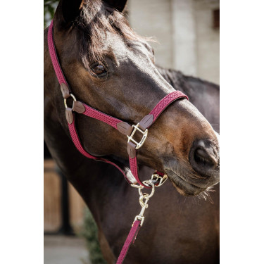Licol Plaited Nylon Kentucky Licol Plaited Nylon Kentucky