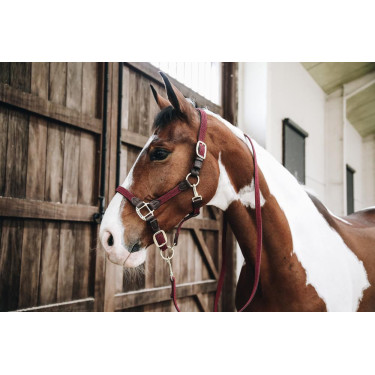 Licol Plaited Nylon Kentucky Licol Plaited Nylon Kentucky
