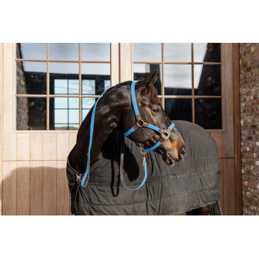 Licol Plaited Nylon Kentucky Licol Plaited Nylon Kentucky