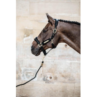 Licol Velvet Kentucky Noir Licol Velvet Kentucky Noir