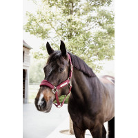 Licol Velvet Kentucky Bordeaux