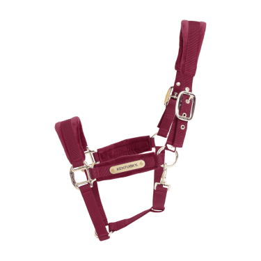 Licol Velvet Kentucky Licol Velvet Kentucky