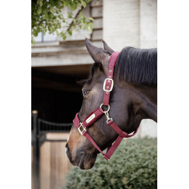 Licol Velvet Kentucky Licol Velvet Kentucky