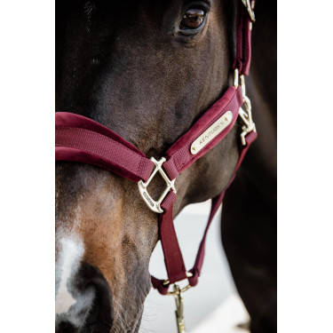 Licol Velvet Kentucky Licol Velvet Kentucky
