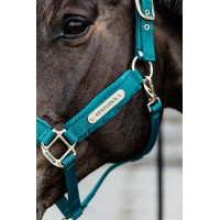 Licol Velvet Kentucky Emeraude Vert
