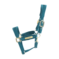 Licol Velvet Kentucky Emeraude Vert