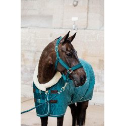 Licol Velvet Kentucky Emeraude Vert