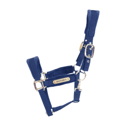 Licol Velvet Kentucky Bleu marine Licol Velvet Kentucky Bleu marine