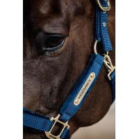 Licol Velvet Kentucky Bleu marine Licol Velvet Kentucky Bleu marine