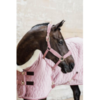 Licol Velvet Kentucky Vieux rose