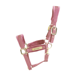 Licol Velvet Kentucky Vieux rose