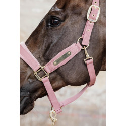 Licol Velvet Kentucky Vieux rose