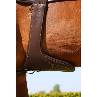 Sangle bavette Kentucky Sangle bavette Kentucky