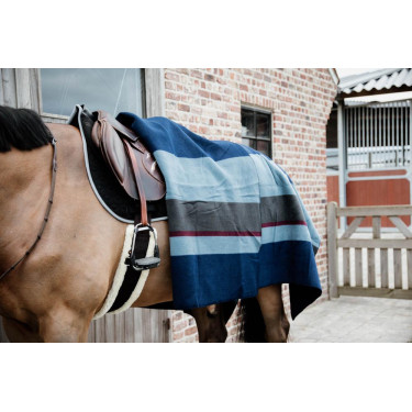 Sangle mouton Kentucky Sangle mouton Kentucky