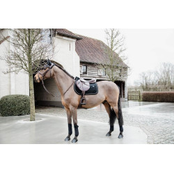 Tapis de selle Basic Velvet jumping Kentucky Noir Tapis de selle Basic Velvet jumping Kentucky Noir