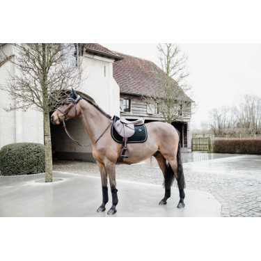 Tapis de selle Basic Velvet jumping Kentucky Tapis de selle Basic Velvet jumping Kentucky
