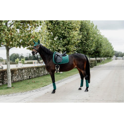 Tapis de selle Velvet dressage Kentucky Vert foncé Tapis de selle Velvet dressage Kentucky Vert foncé
