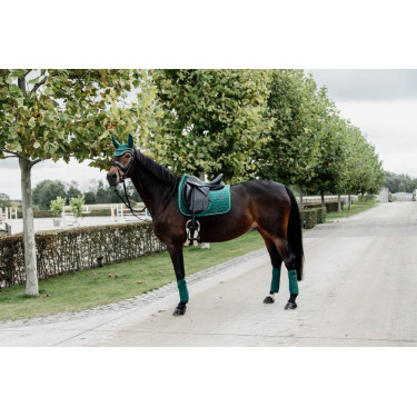 Tapis de selle Velvet dressage Kentucky Tapis de selle Velvet dressage Kentucky