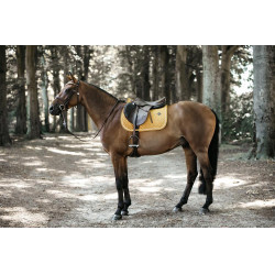 Tapis de selle Velvet jumping Kentucky Moutarde Jaune Tapis de selle Velvet jumping Kentucky Moutarde Jaune